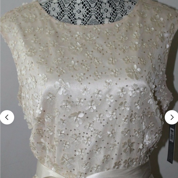 NWT Tahari Arthur S. Levine Floral Applique Gown Wedding Prom Bridesmaid Sz 14 - Picture 6 of 12